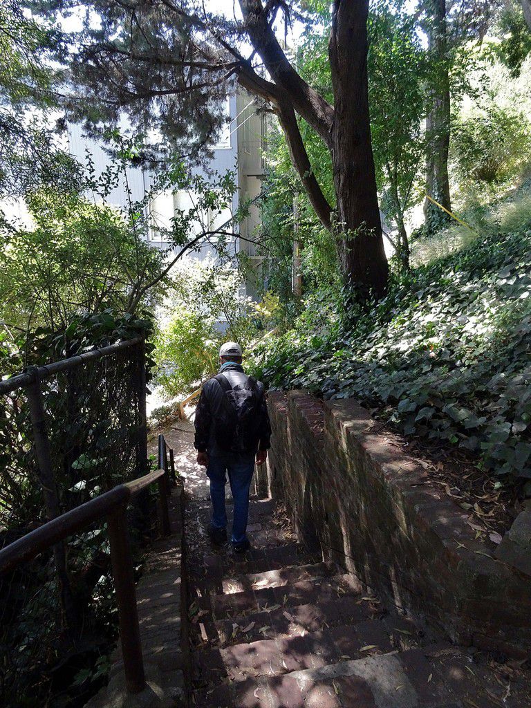 San Francisco Filbert steps