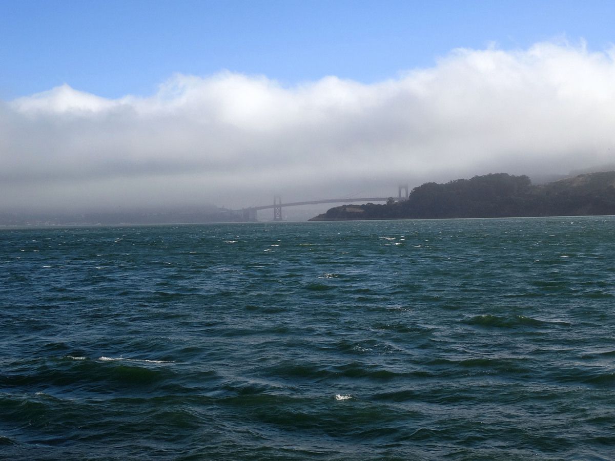 Golden Gate Bridge vu du ferry