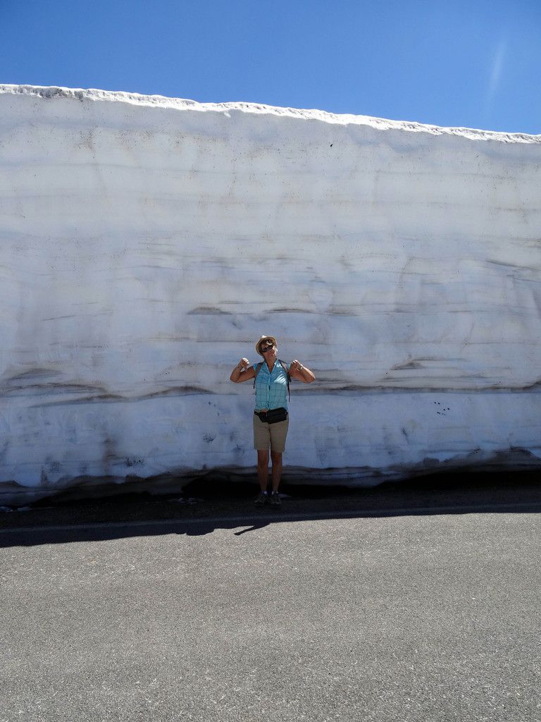 Lassen Volcanic