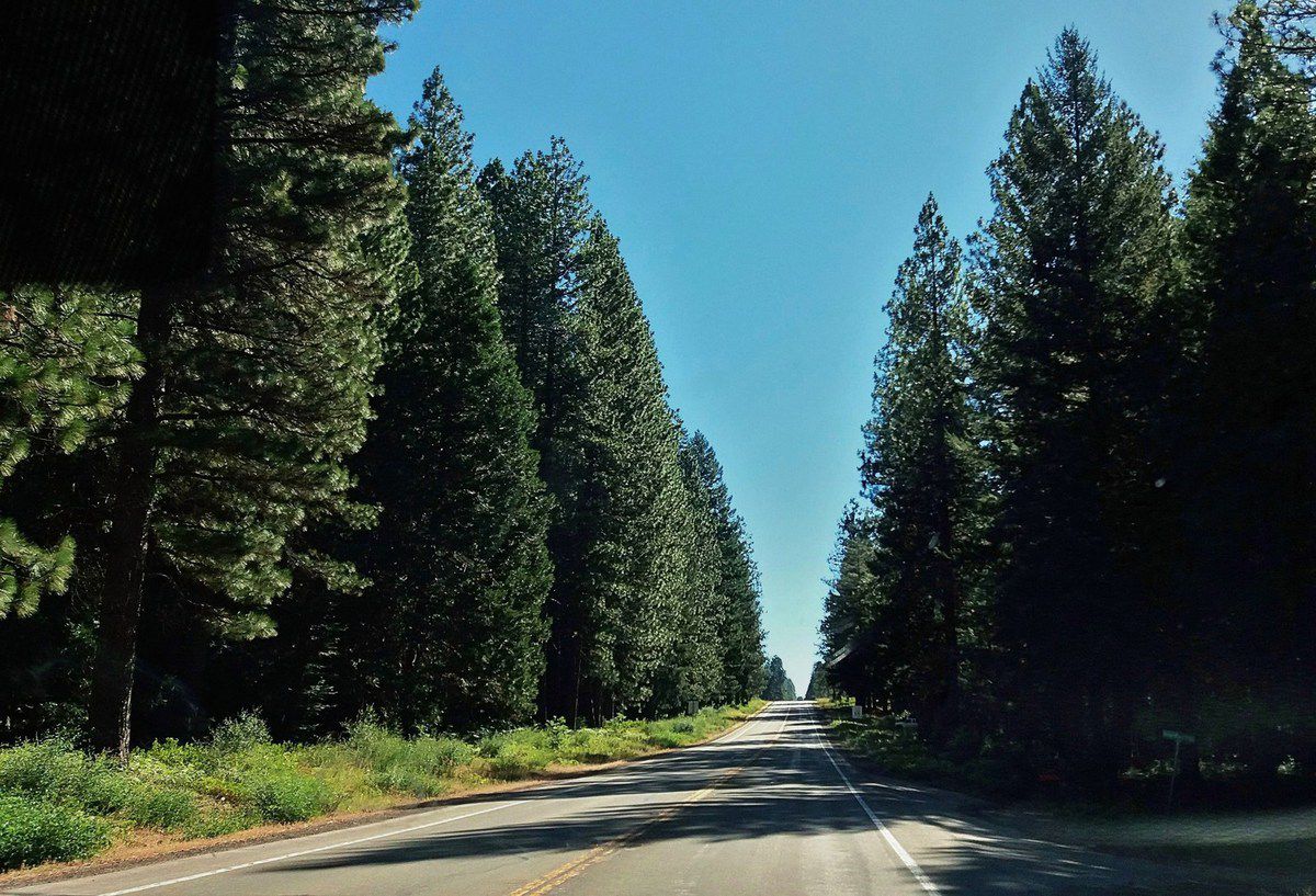 Lassen Volcanic route 44