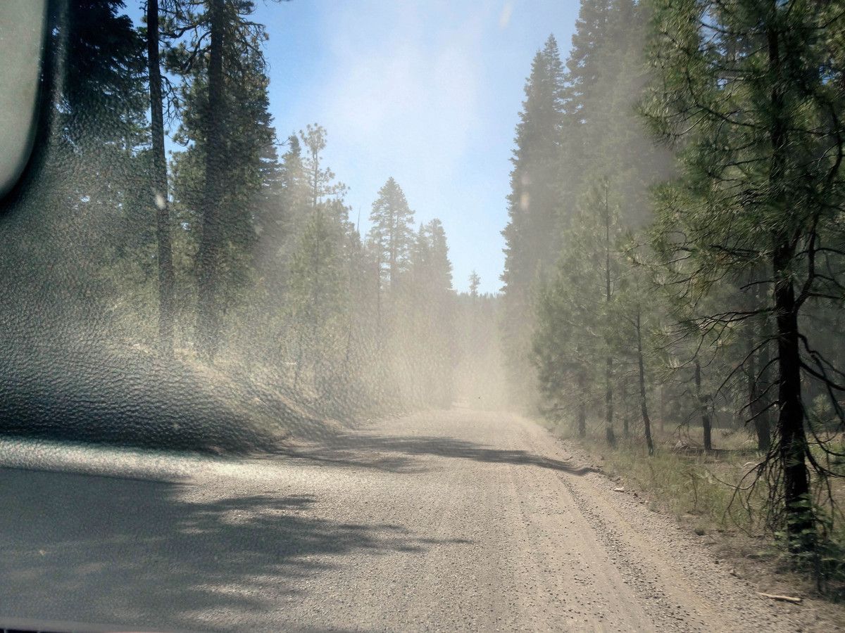 Lassen Volcanic Forest Rte 32N21