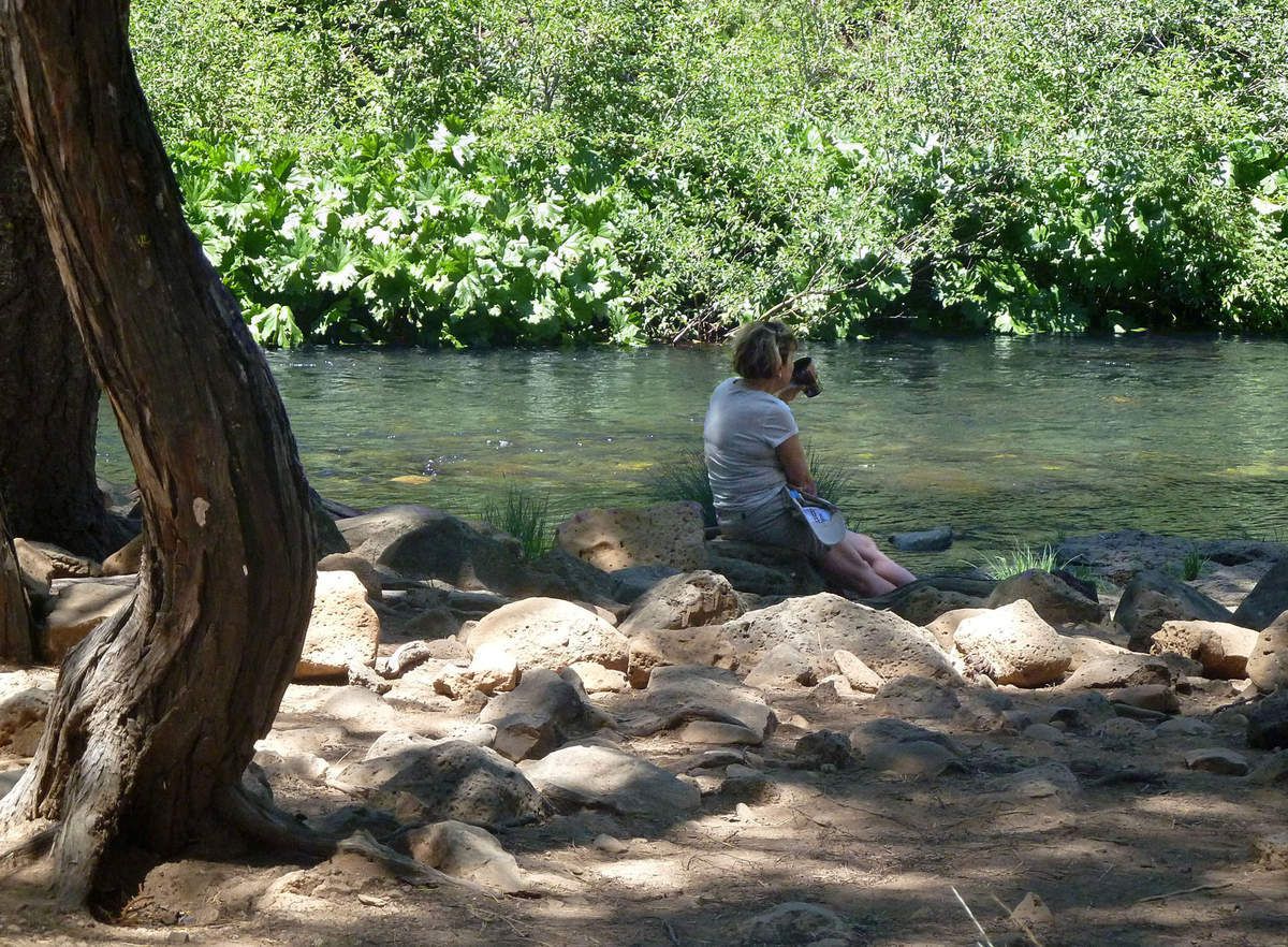 McCloud River