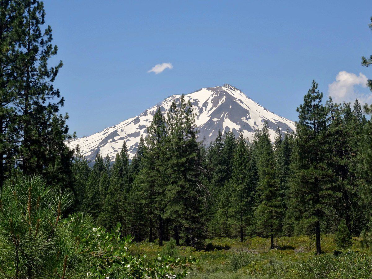 Mont Shasta