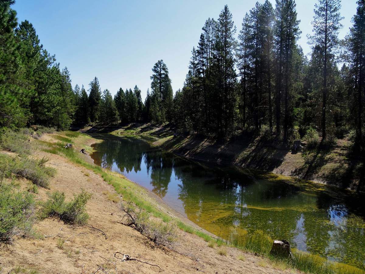 Deschutes River