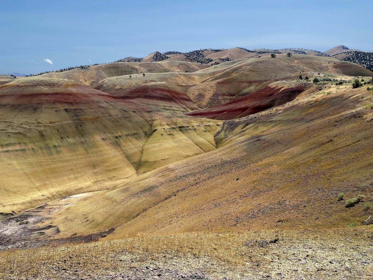 John Day Fossil Beds Painted Hills