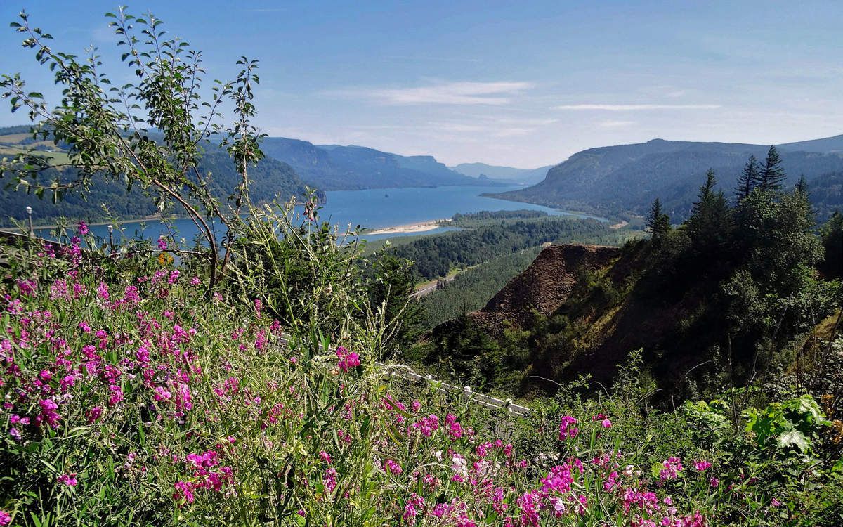 Columbia river Crown Point Vista