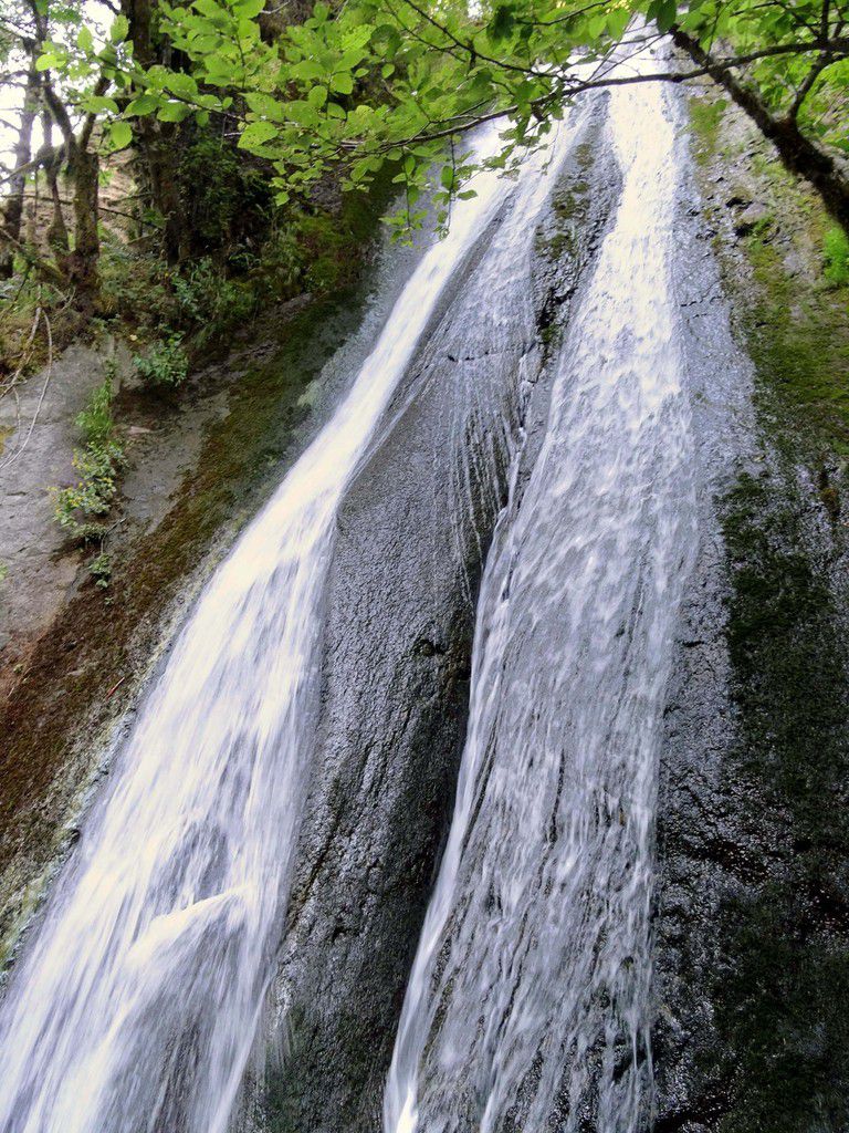Columbia River Gorge Wahclella Falls trail