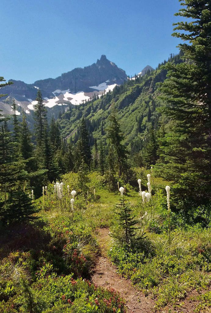 Mont Rainier Bend lake et Snow lake trail