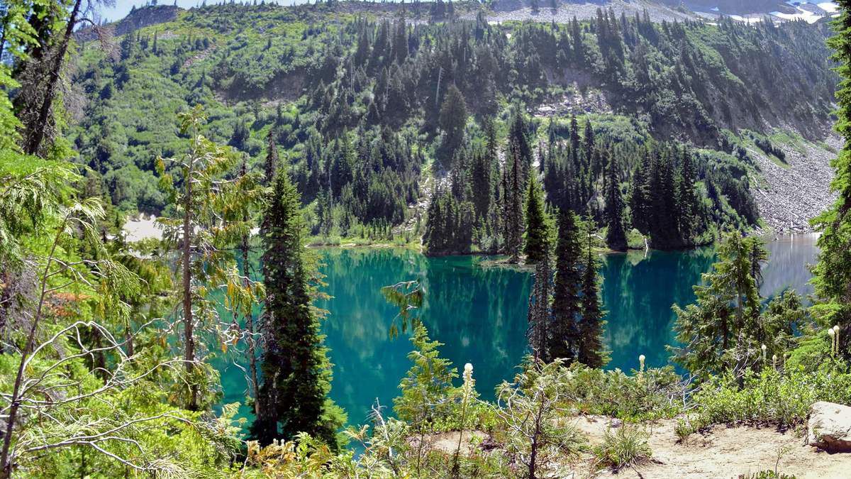 Mont Rainier Bend lake et Snow lake trail