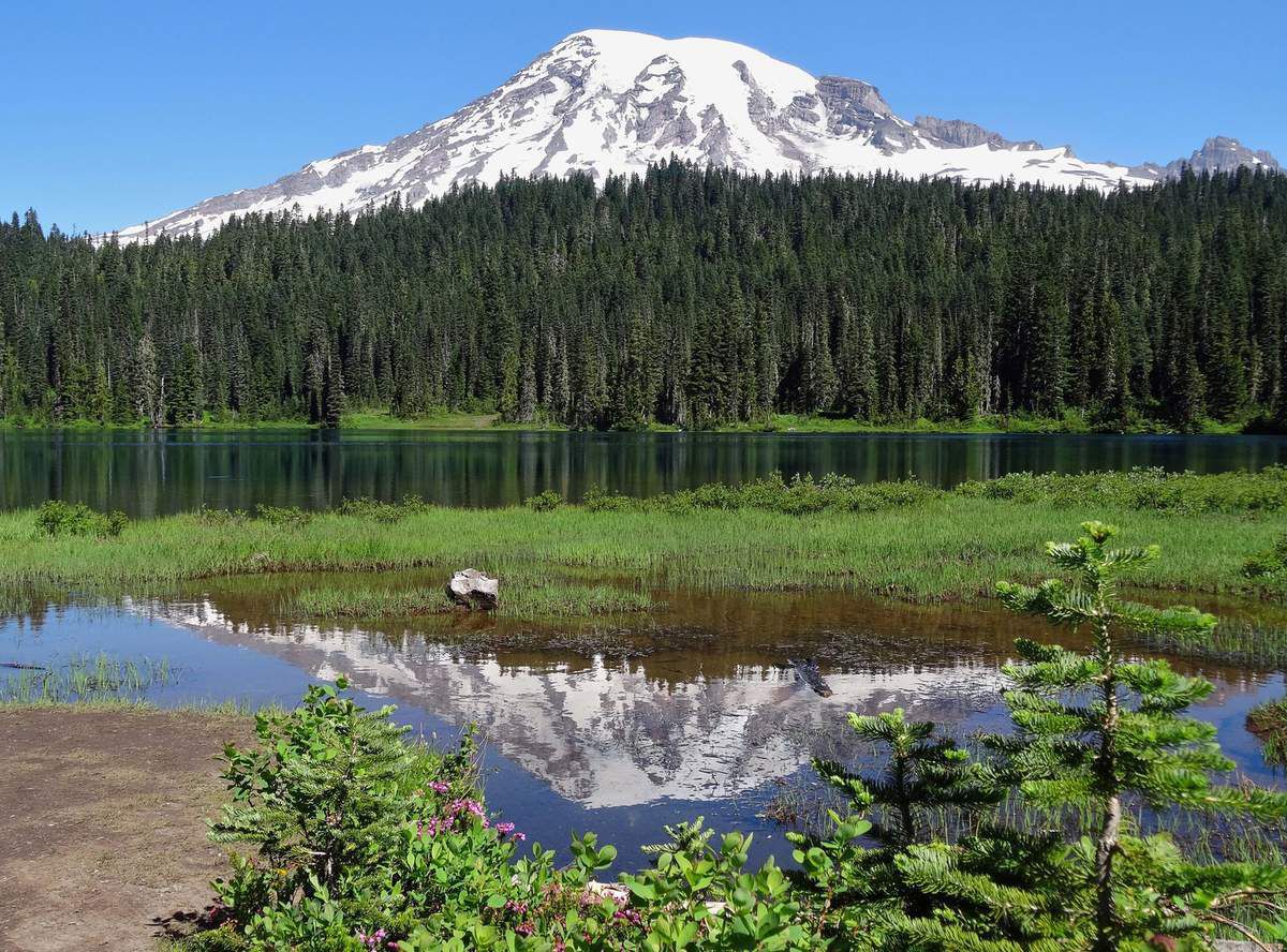 Mont Rainier Reflexion Lakes