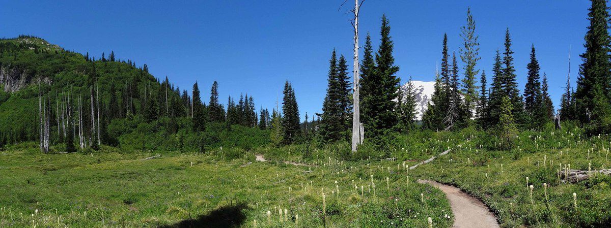 Mont Rainier Bend lake et Snow lake trail