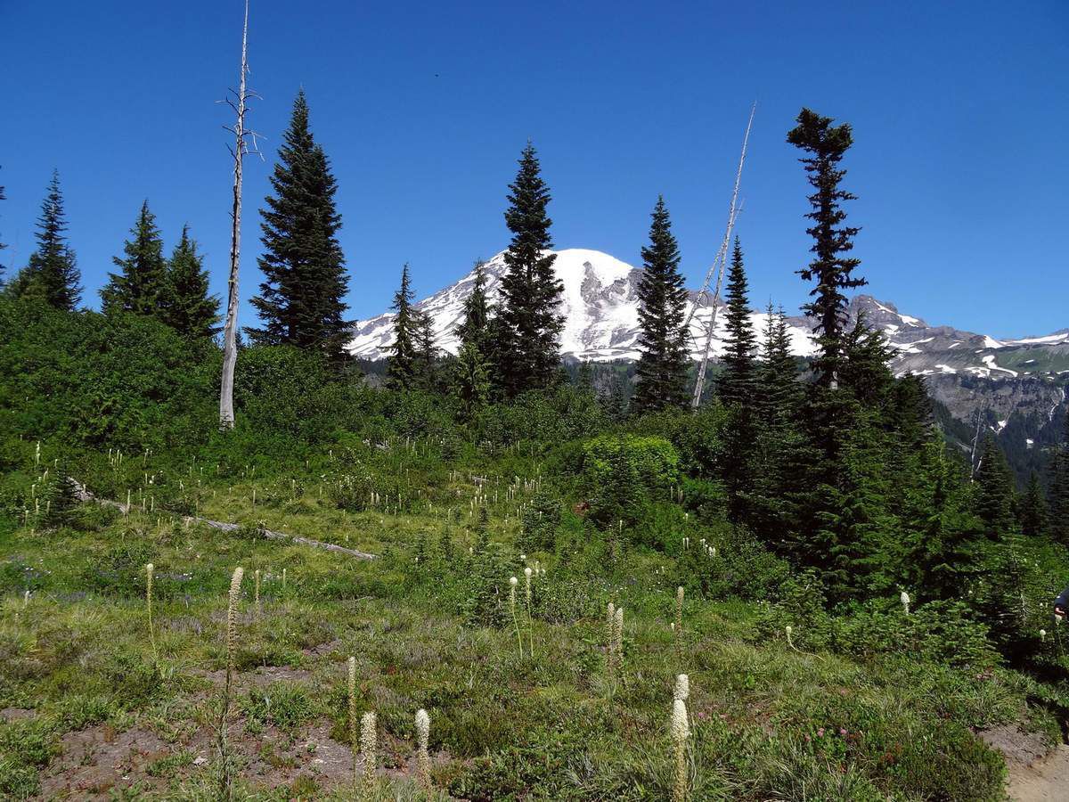 Mont Rainier Bend lake et Snow lake trail