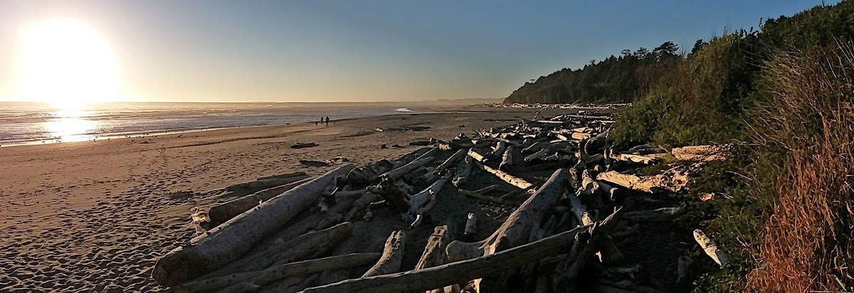 Kalaloch Beach panoramique