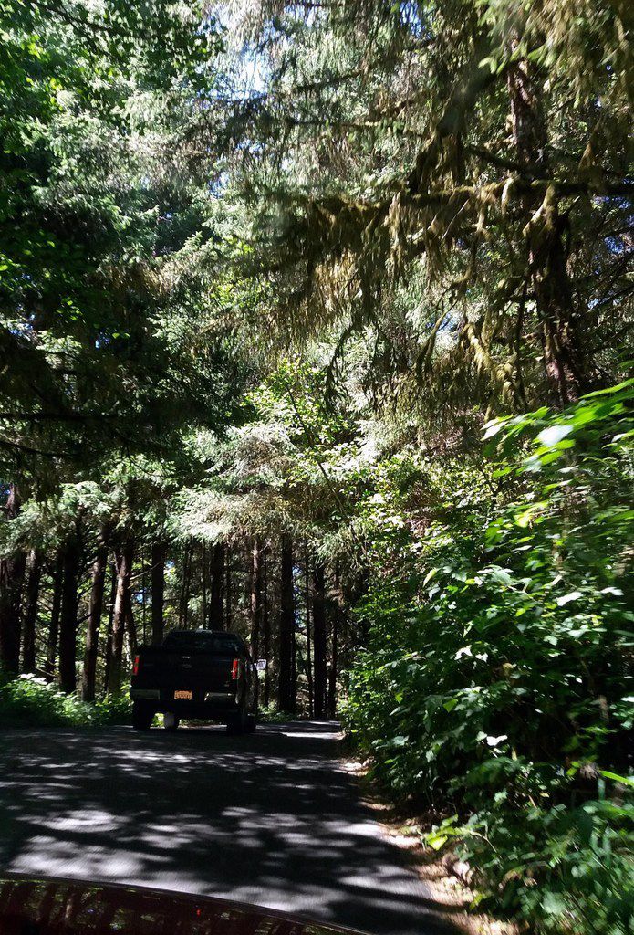 Oregon Coast Ecole State Park