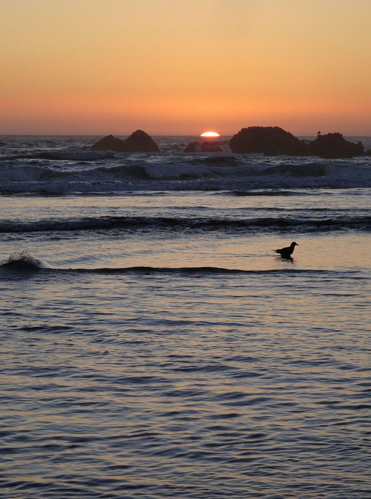 Oregon Coast Cannon Beach