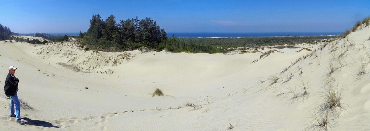 Oregon Dunes