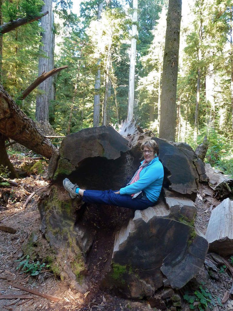 Jedediah Smith Redwoods Simpson Reed trail