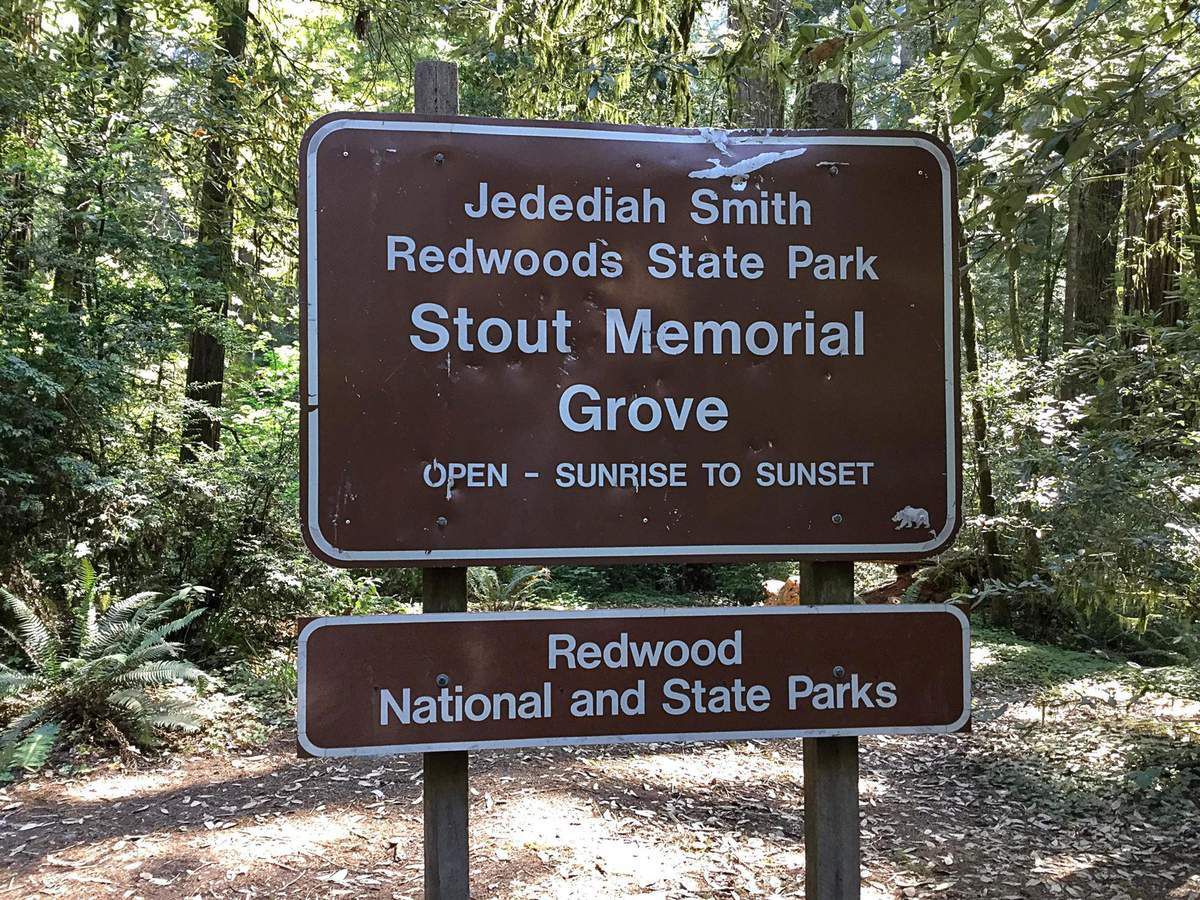 Jedediah Smith Redwoods State Park Stout Grove