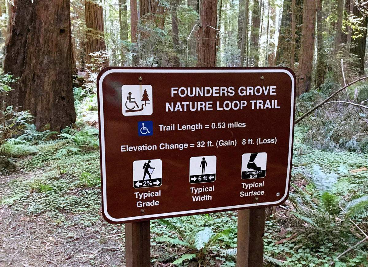 Avenue Of The Giants Founders Grove