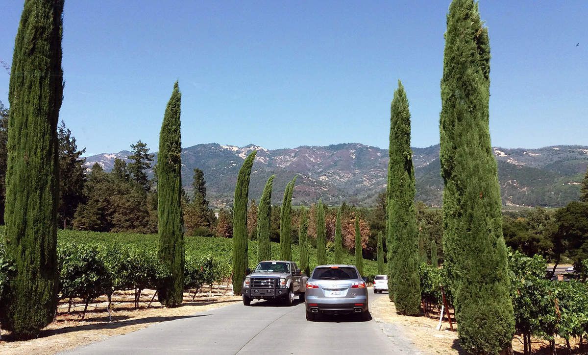 Castello Di Amorosa, Napa Valley