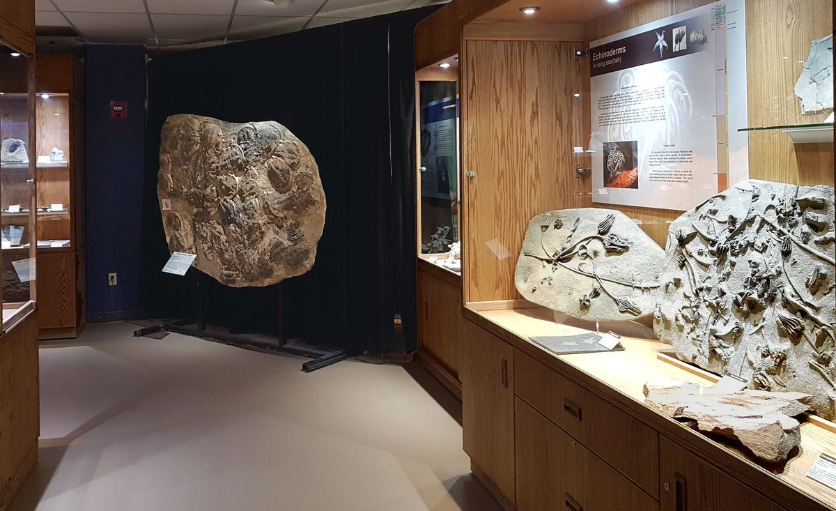 Wyoming Dinosaur Center Thermopolis