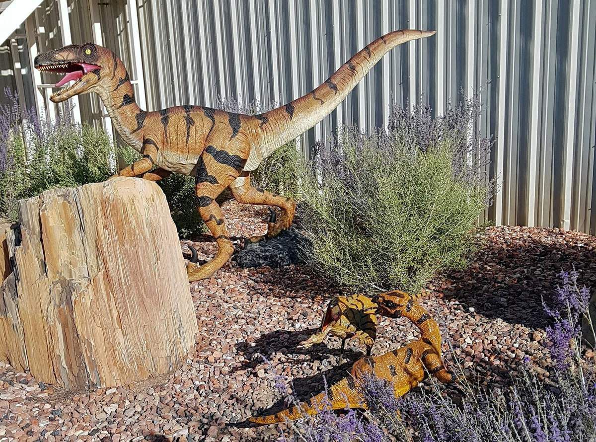 Wyoming Dinosaur Center Thermopolis