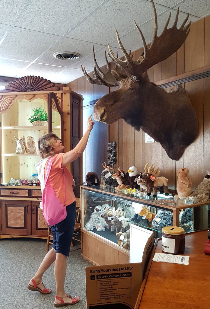 Thermopolis Hot Springs County Museum gift shop