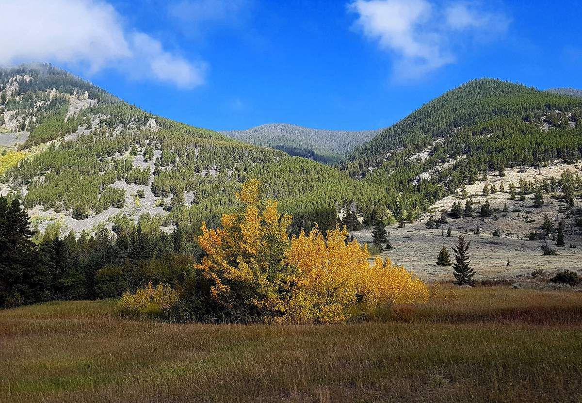 Beartooth Scenic Byway