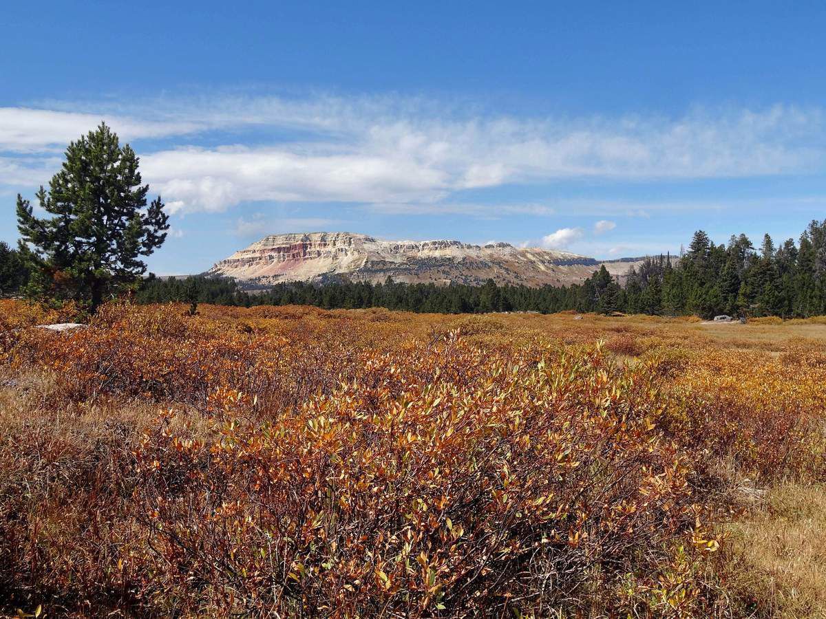 Beartooth Scenic Byway
