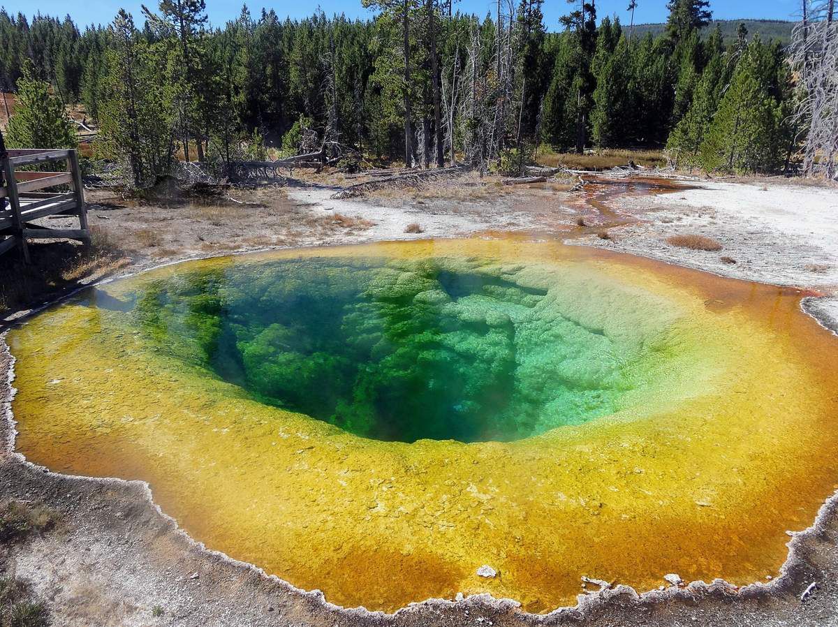 Yellowstone Morning Glory Pool