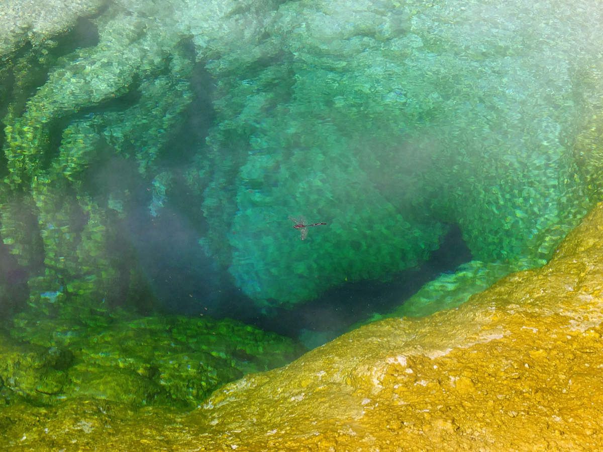 Morning Glory Pool