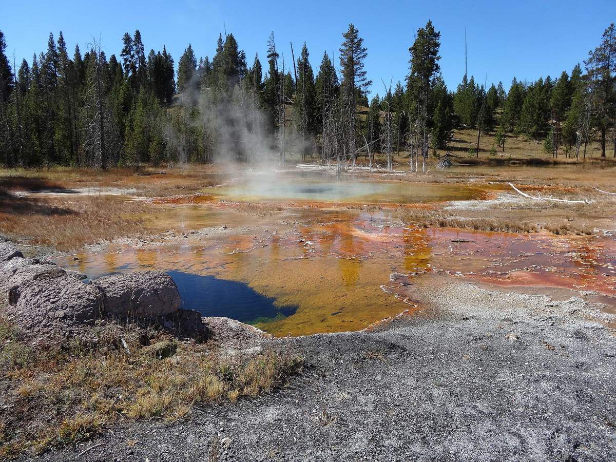 Yellowstone Upper Geyser basin