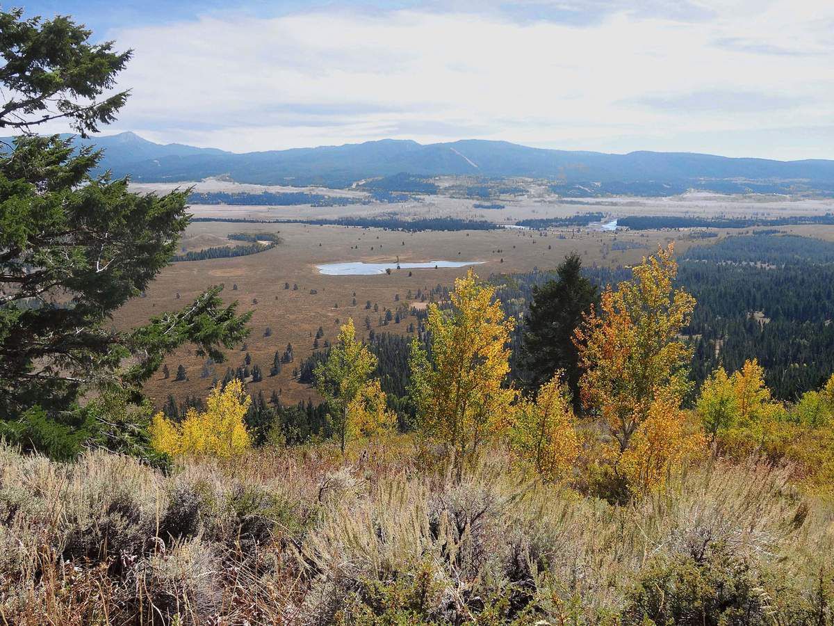 Grand Teton Summit Mountain road overlook