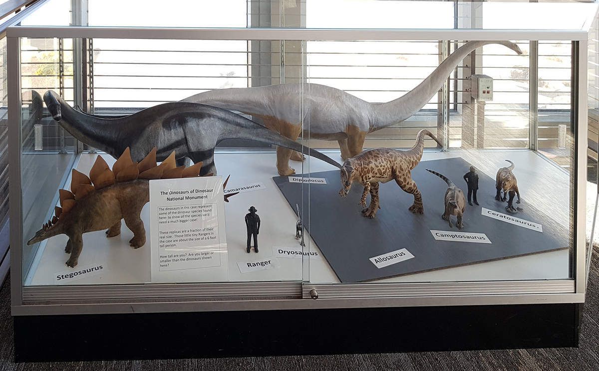 Dinosaur Quarry Exhibit Hall