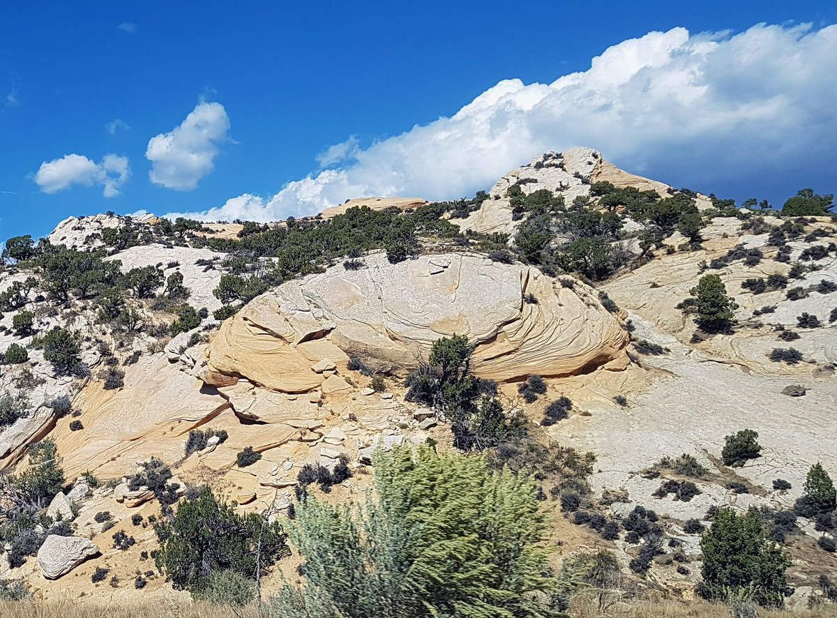 Dinosaur National Monument