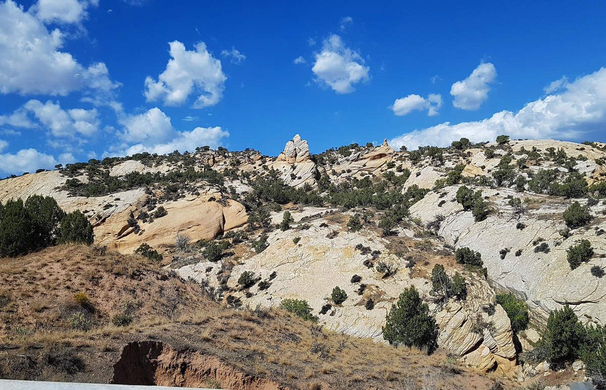 Dinosaur National Monument