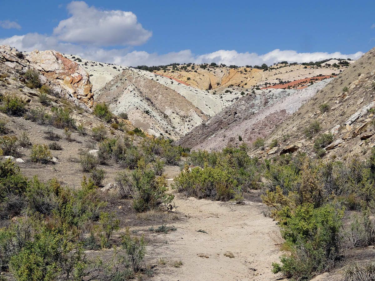 Dinosaur Quarry