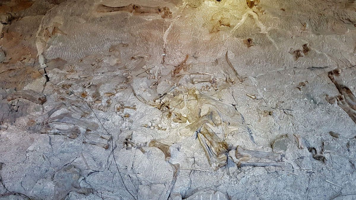 Dinosaur Quarry Exhibit Hall