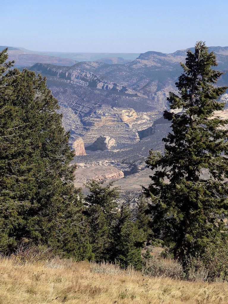Dinosaur Harpers Corner road Canyon overlook