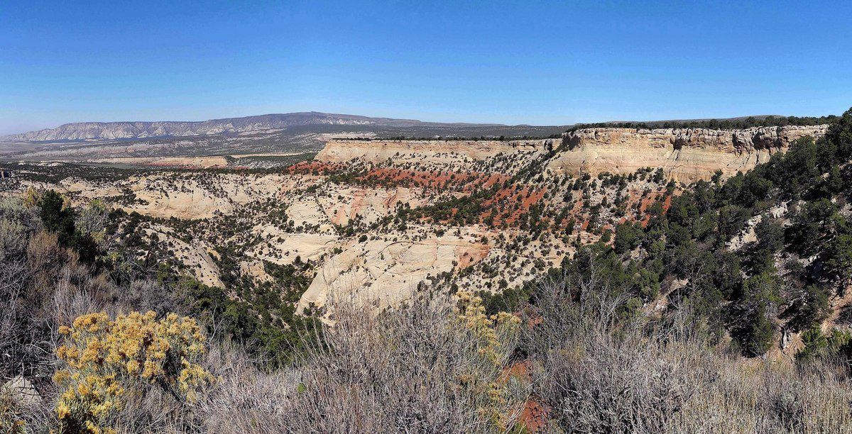 Harpers Corner road Bull canyon