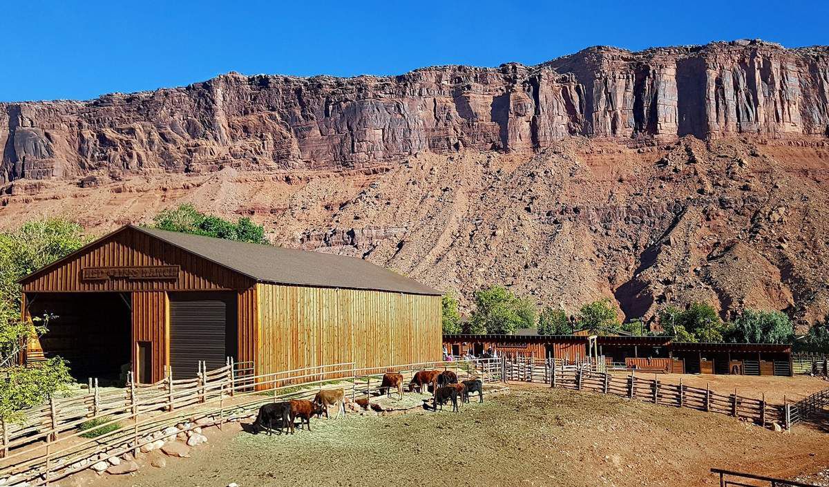 Red Cliffs Lodge