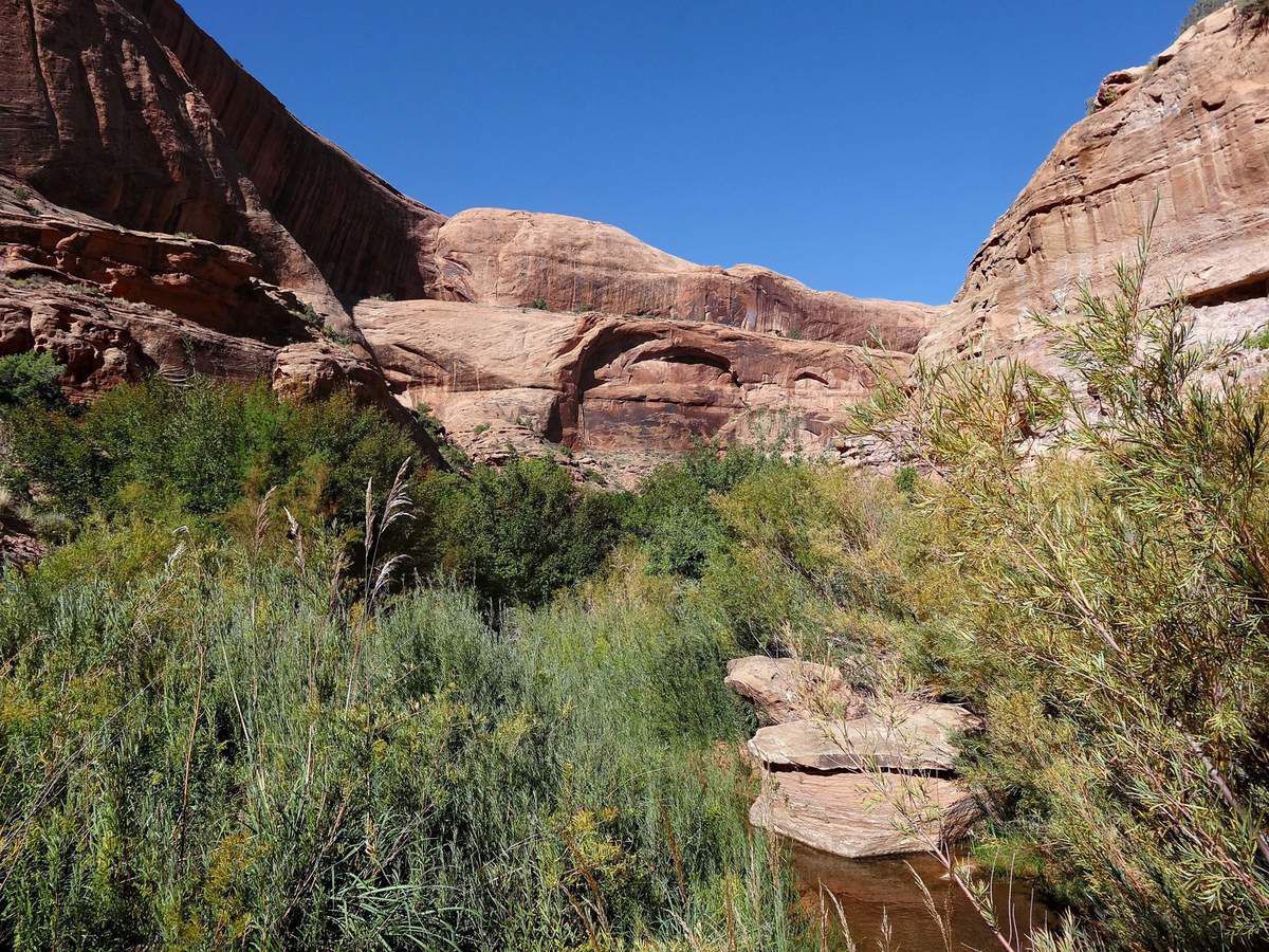 Grandstaff Canyon trail