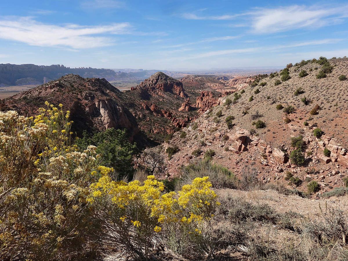 La Sal Mountain Loop