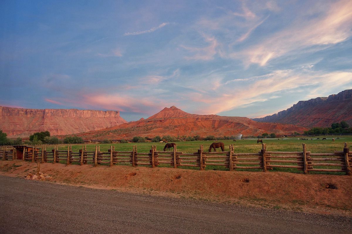 Red Cliffs Lodge chevaux crépuscule
