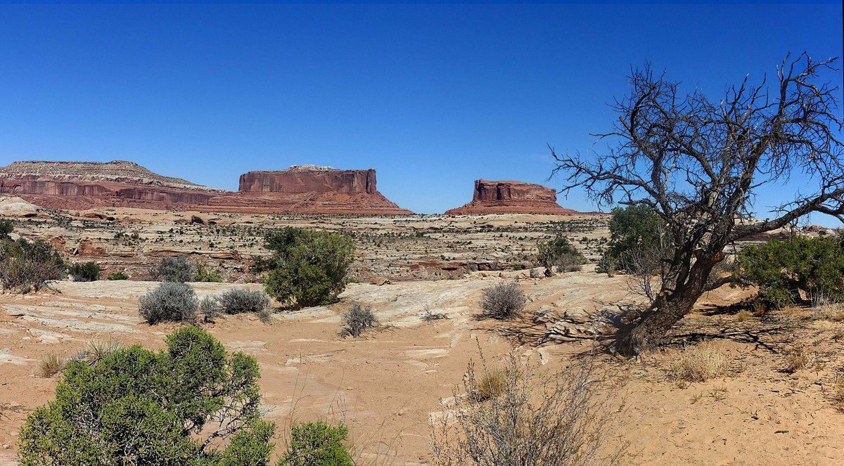 Merrimac et Monitor Buttes