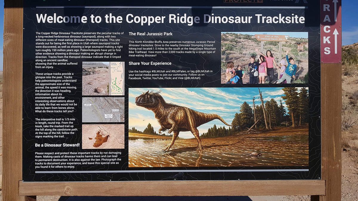Copper Ridge Dinosaur Tracks panneau