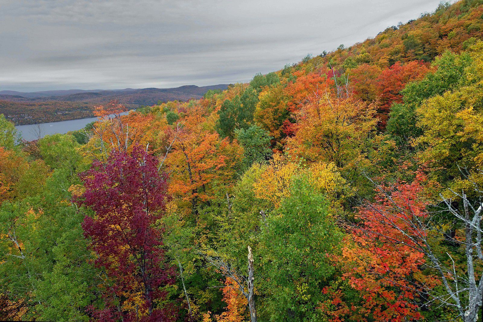 Mont Tremblant en automne