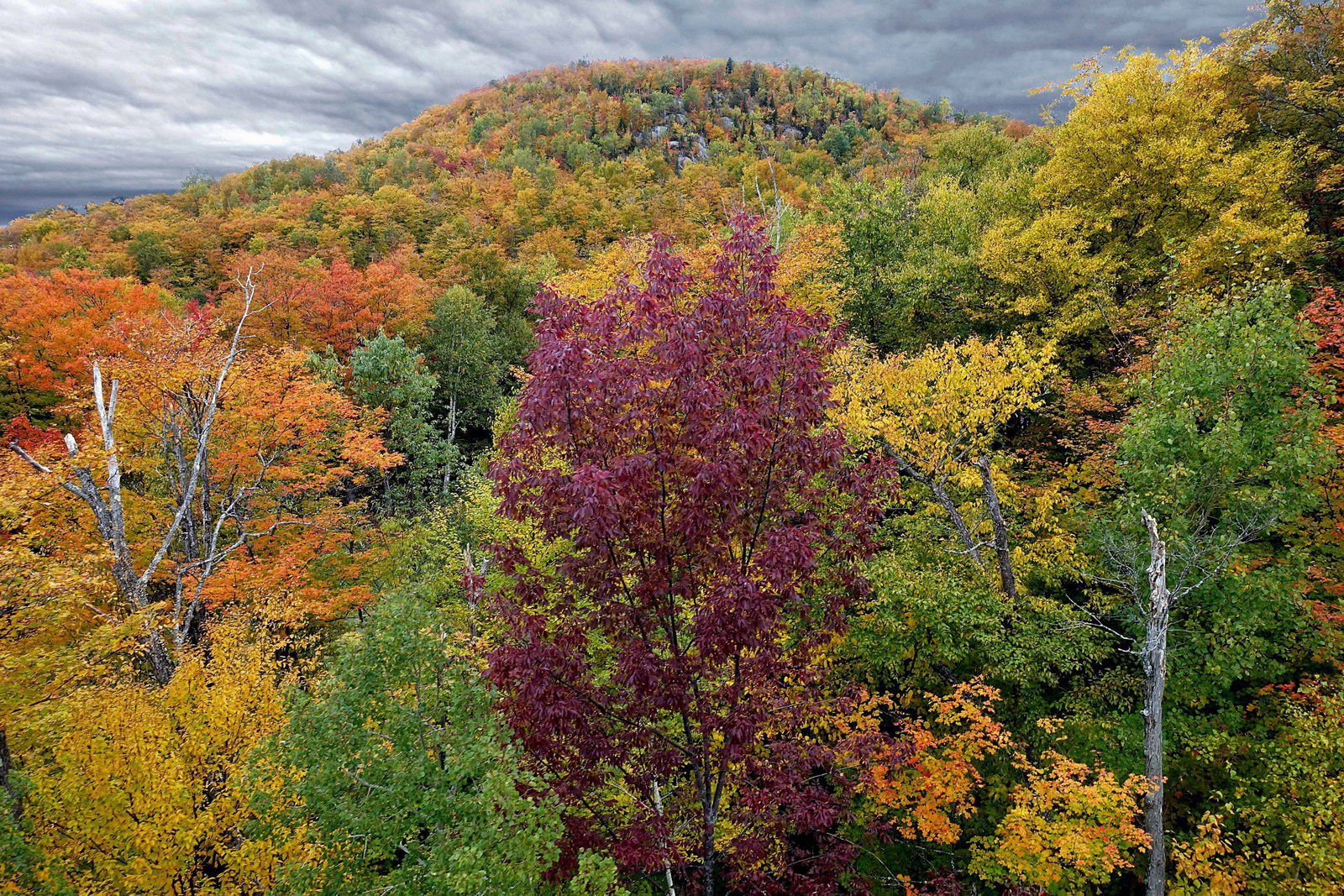 Mont Tremblant en automne