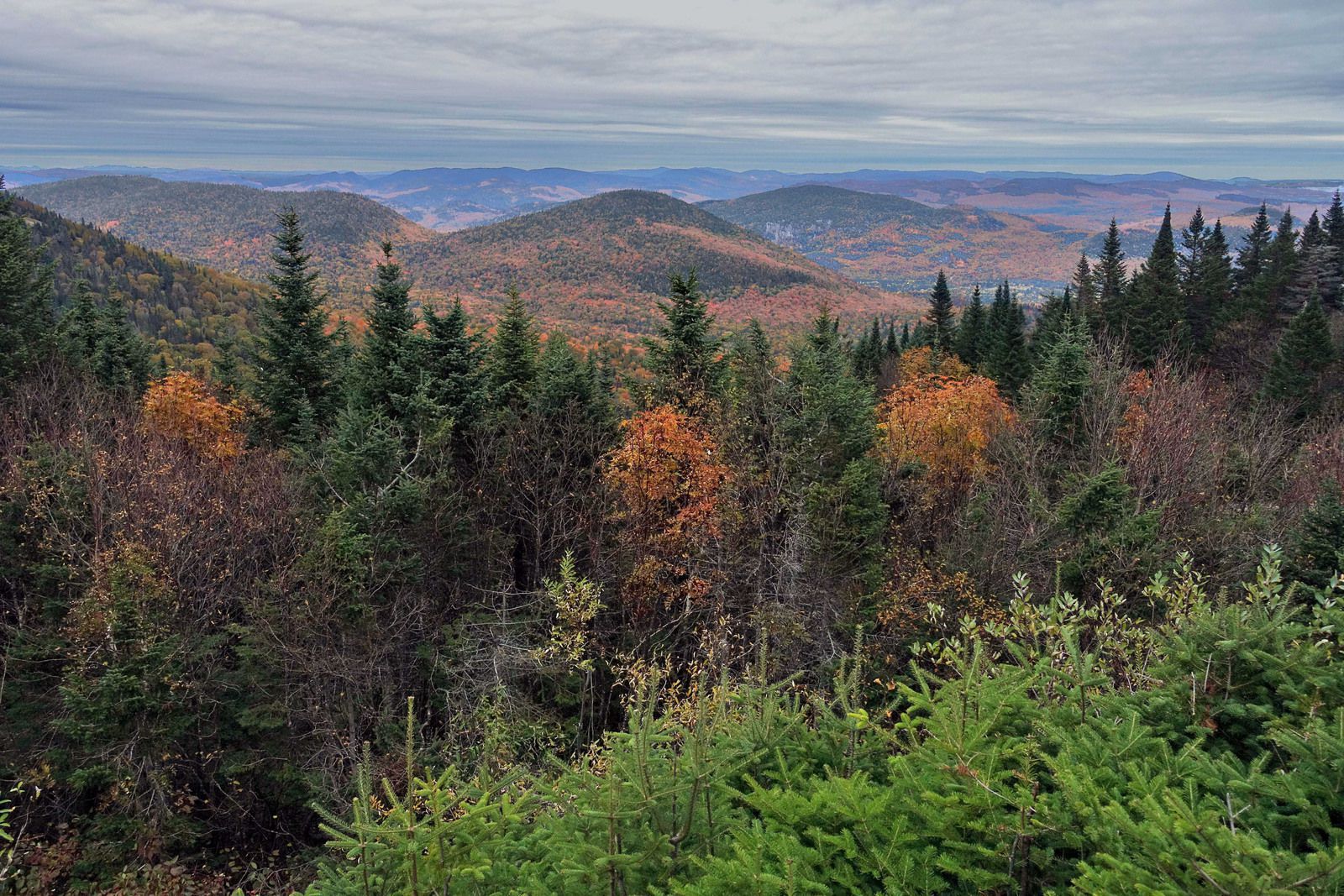 Vue du sommet du Mont Tremblant en automne