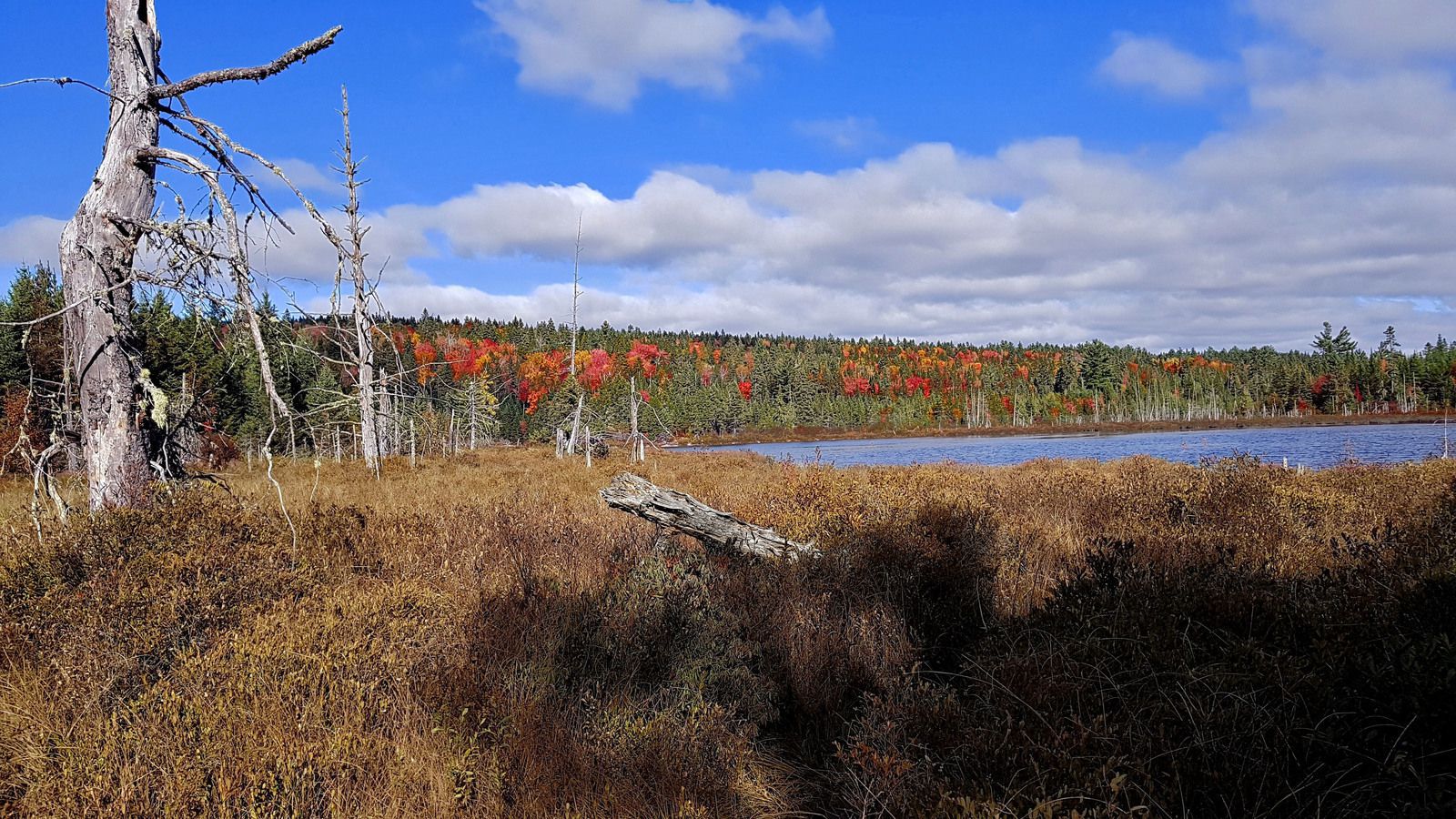 Parc de la Mauricie Lac Boyer